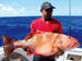 Black saddled coral grouper