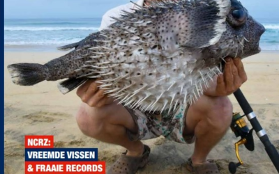 NCRZ Jaarverslag 2020