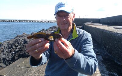 NCRZ Jaarverslag 2021