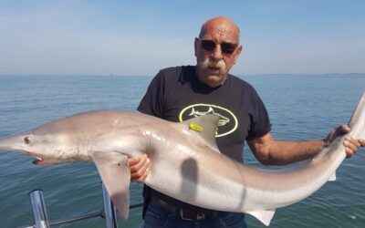 Veel nieuwe claims in 2020