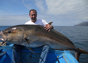 Reusachtige Amberjack