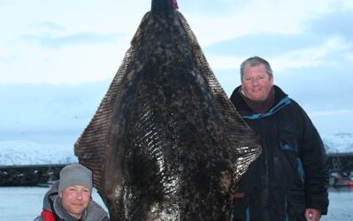 De gedroomde heilbot